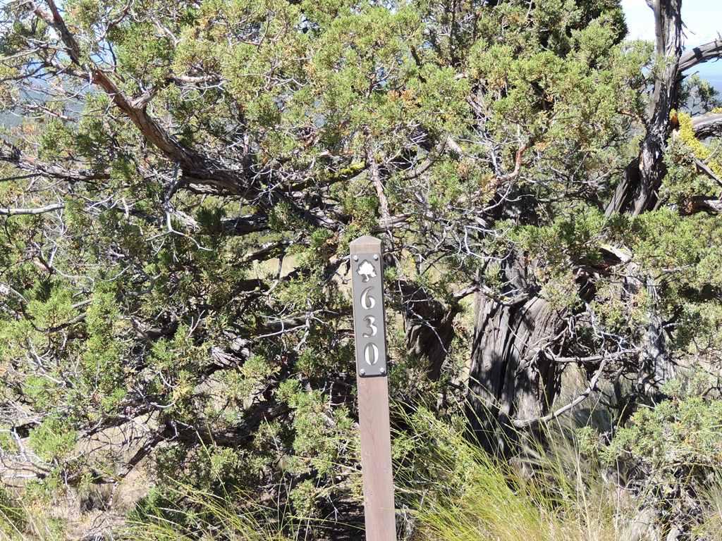 Brasada Ranch - Land