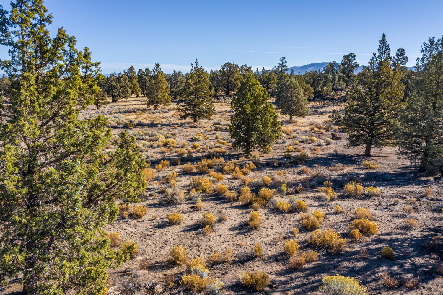 Pronghorn Estates Drive Lot 31