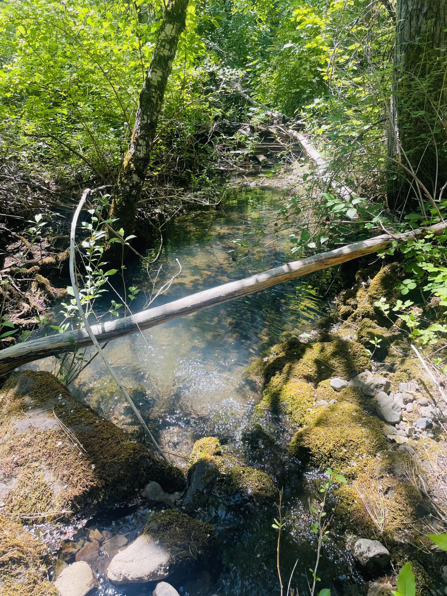 Prospect Tracts - Residential