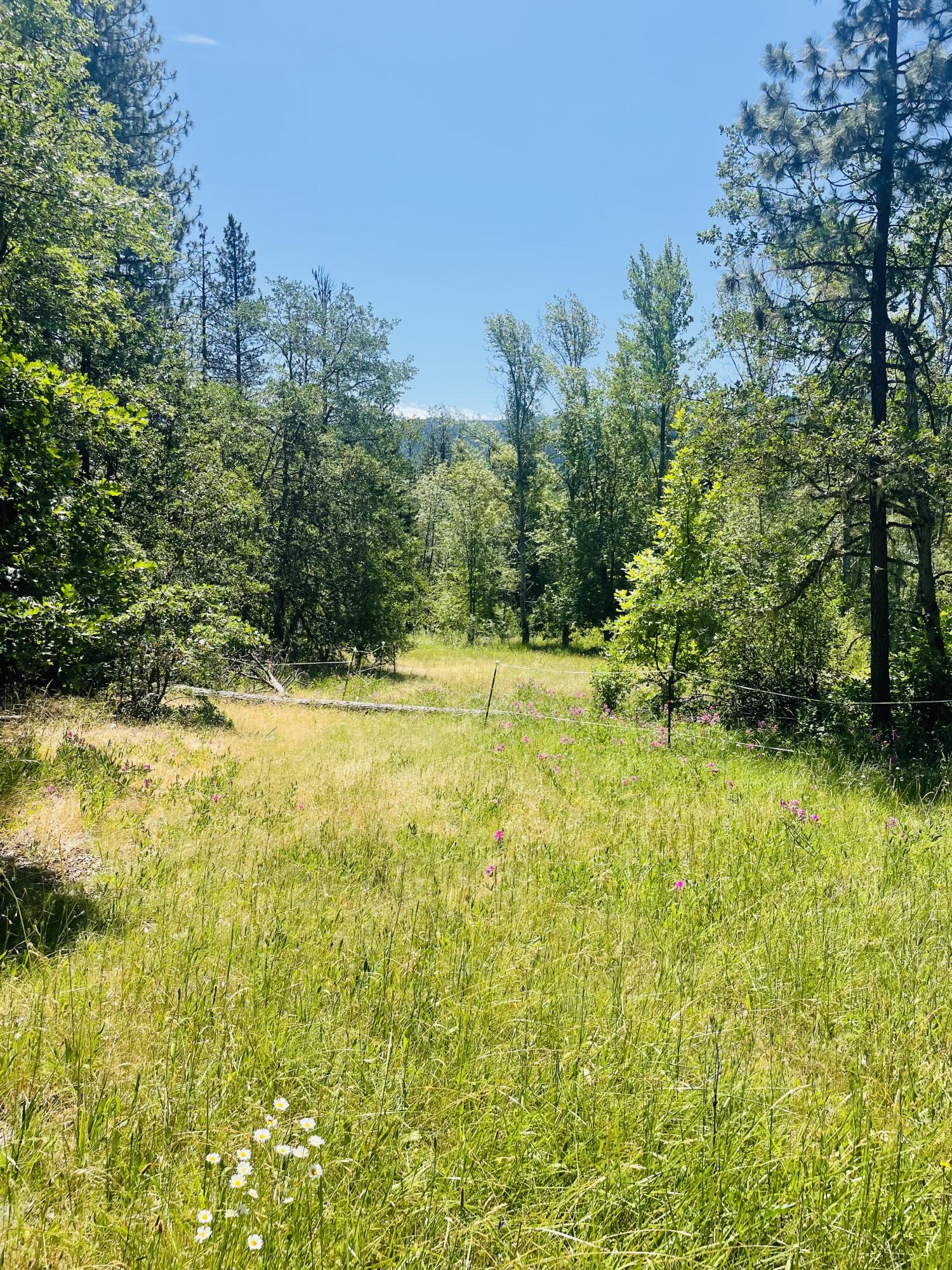 Prospect Tracts - Residential