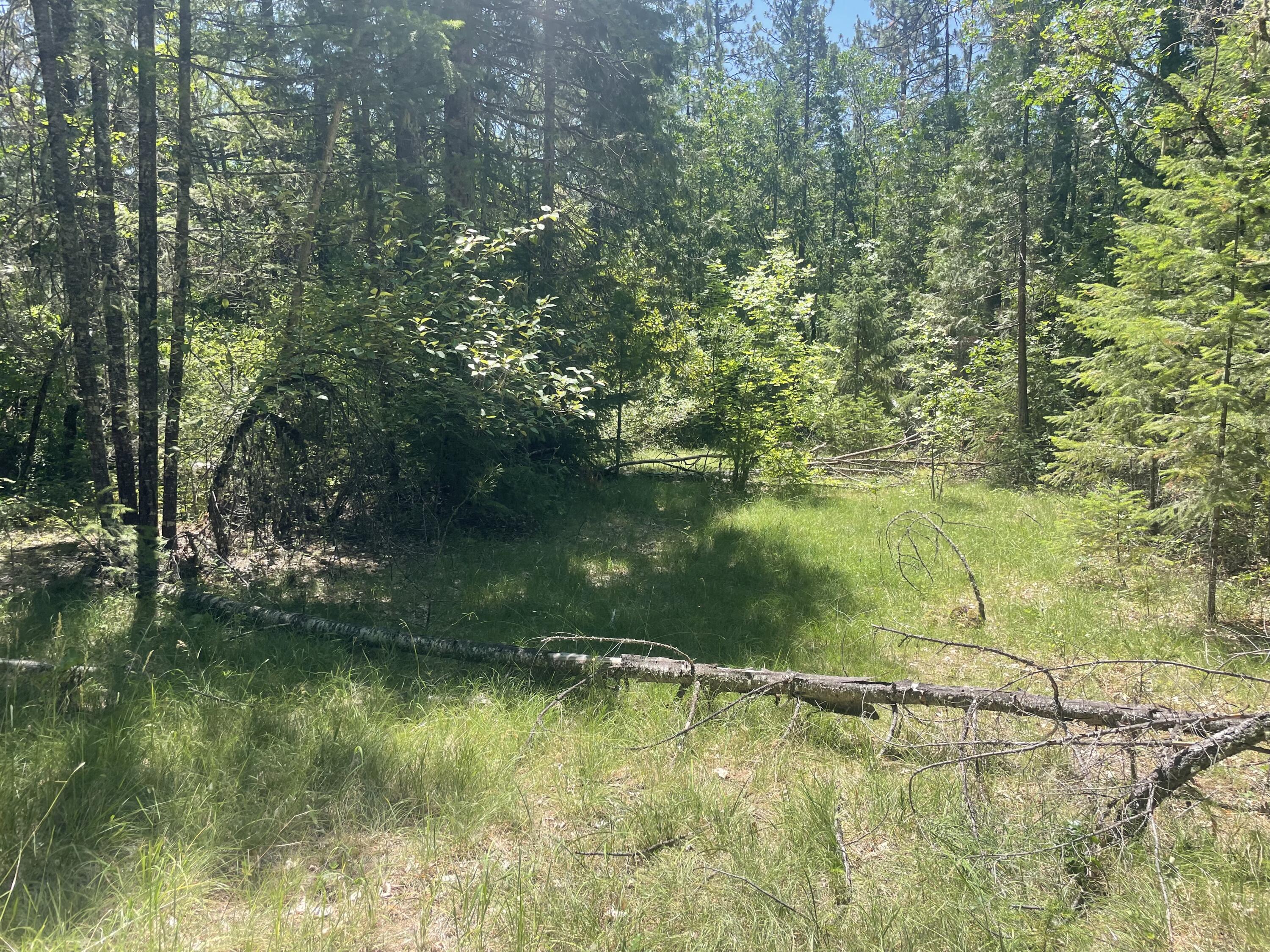 Prospect Tracts - Residential