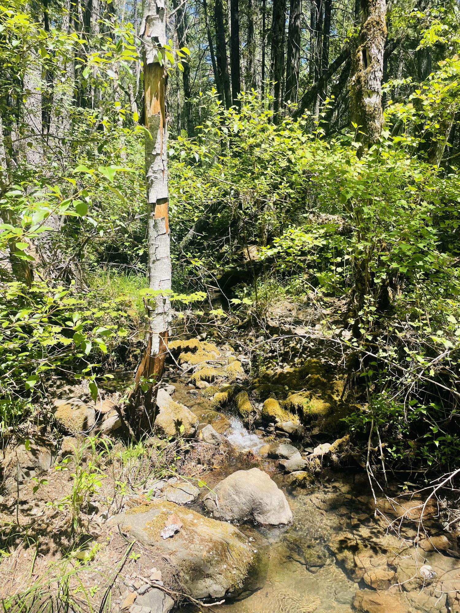 Prospect Tracts - Residential