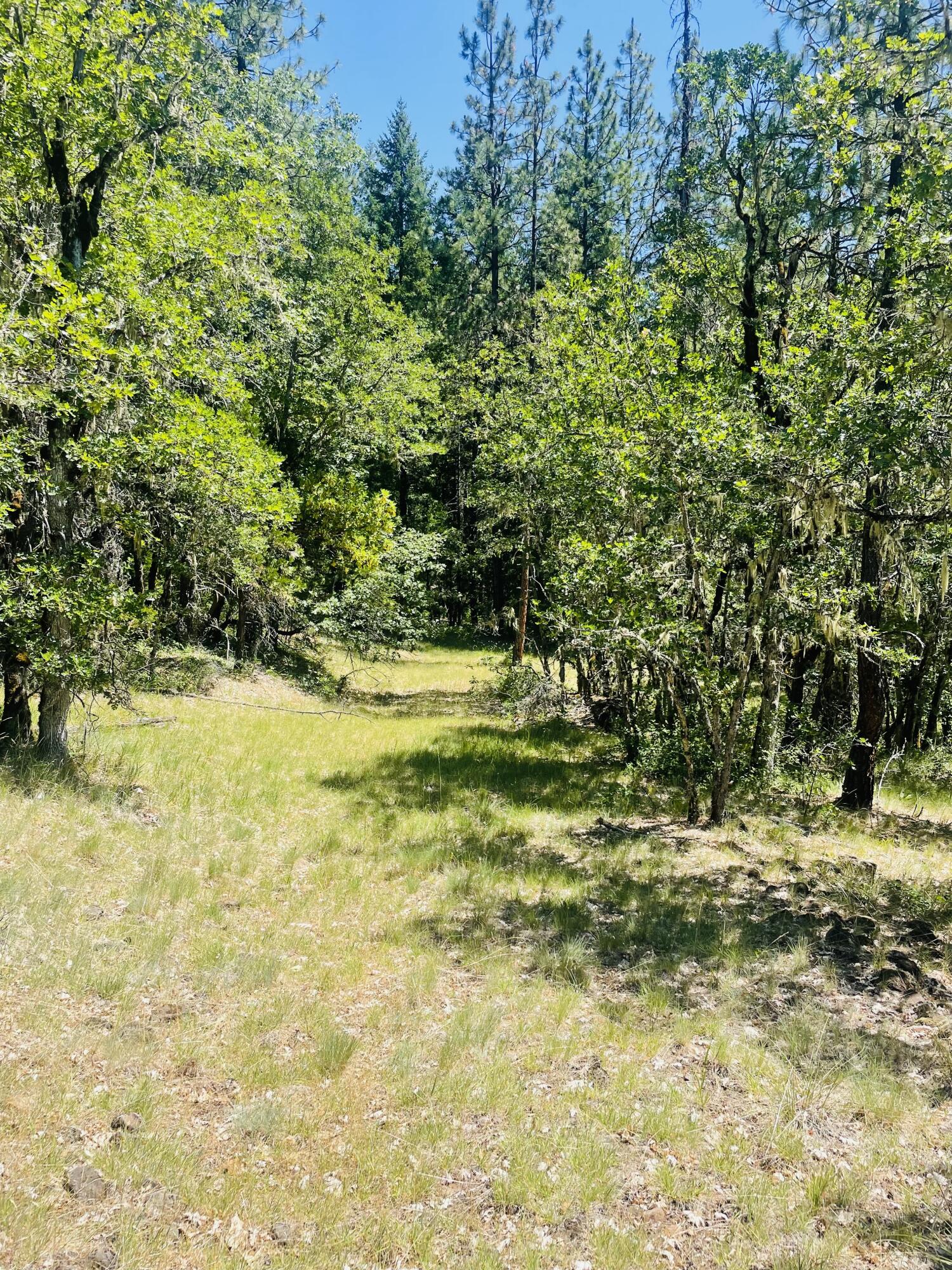 Prospect Tracts - Residential