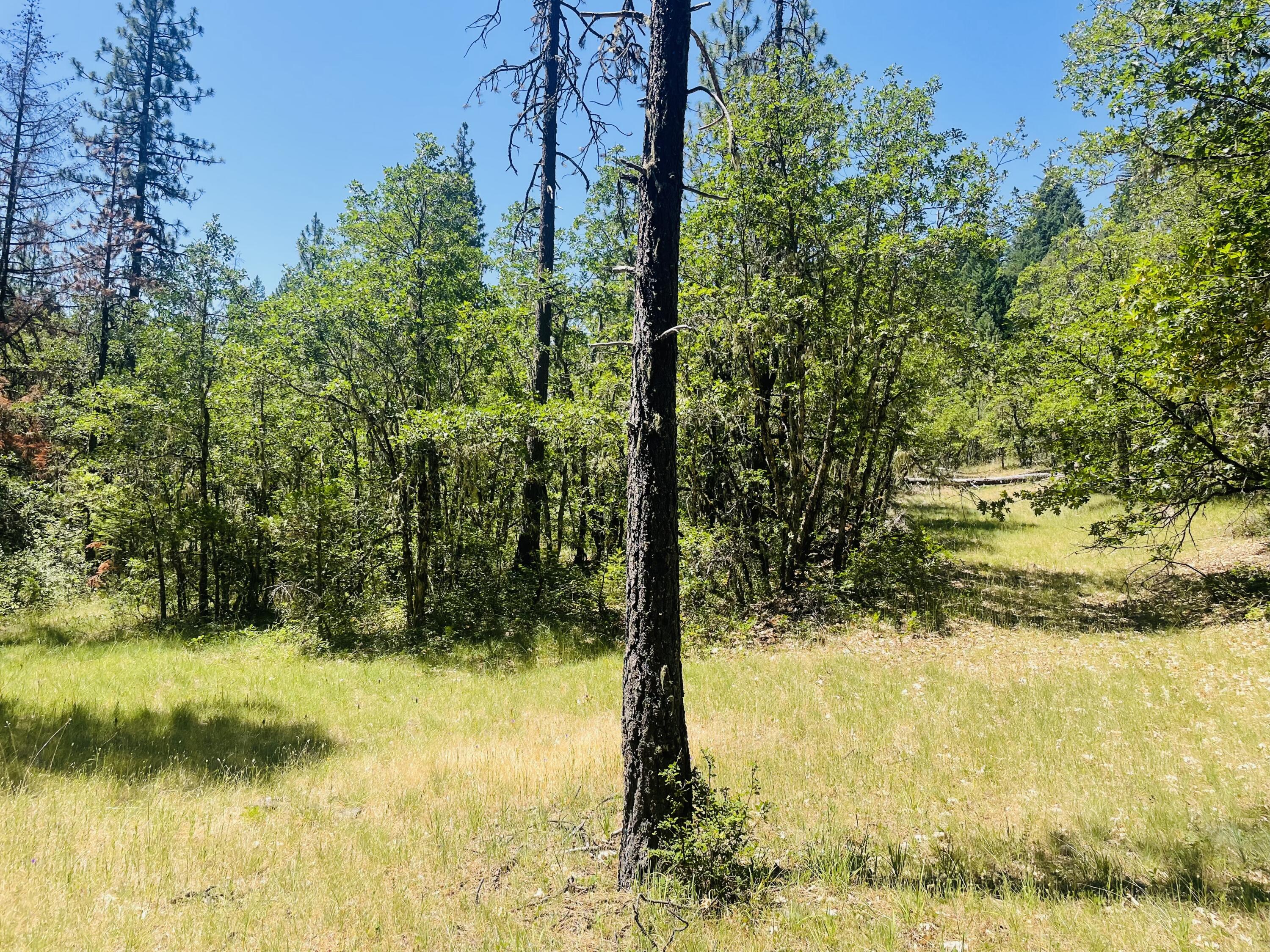 Prospect Tracts - Residential