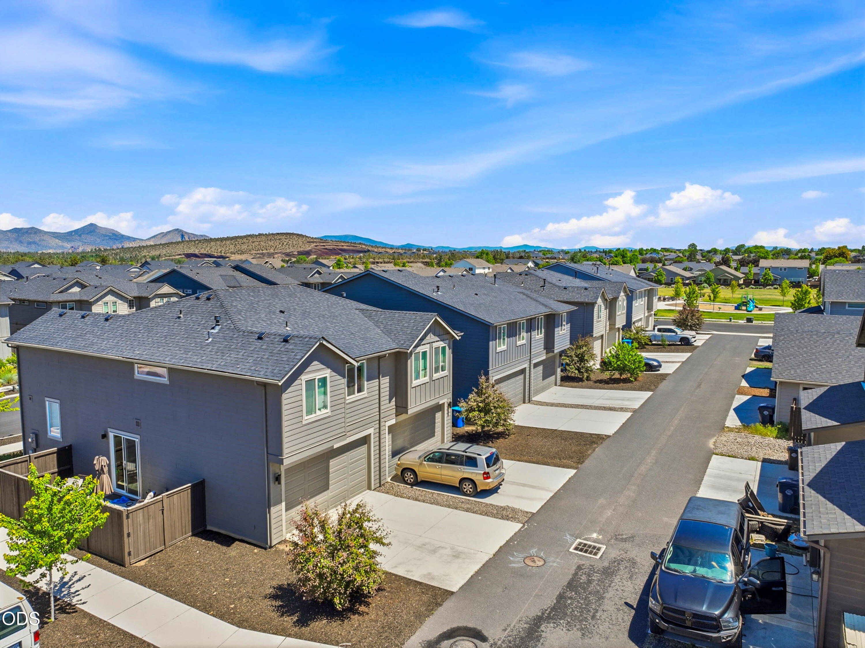 2598 NW Spruce Cone