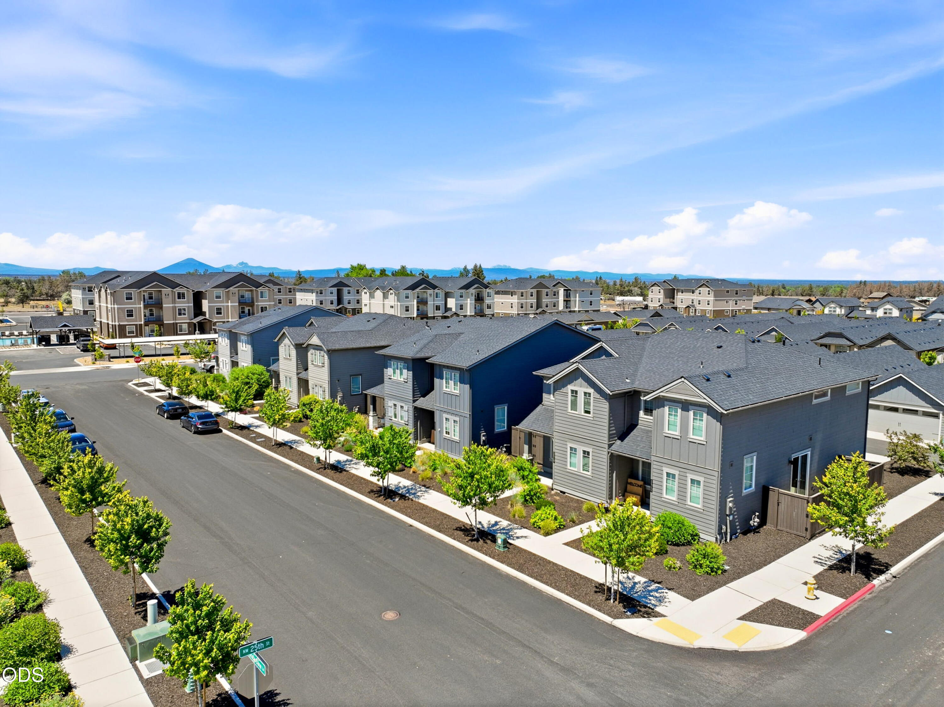2598 NW Spruce Cone