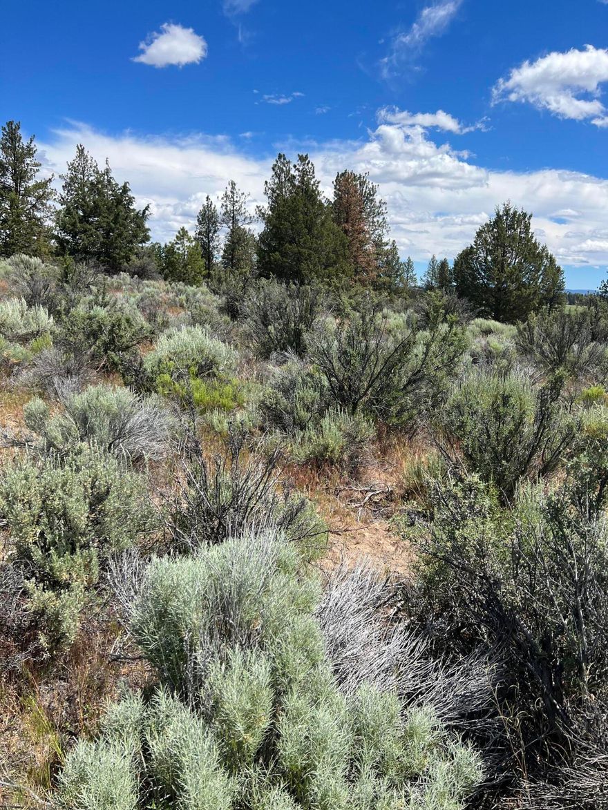 Over 3 acres in Sprague Rive Valley Acres- great views of the valley and mountains!!