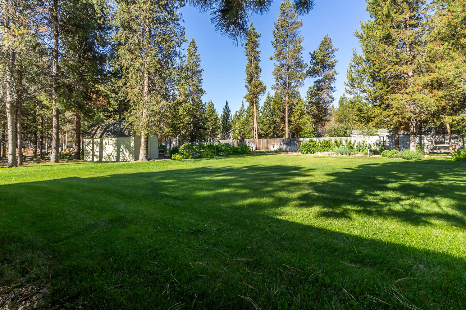 Tall Pines - Residential