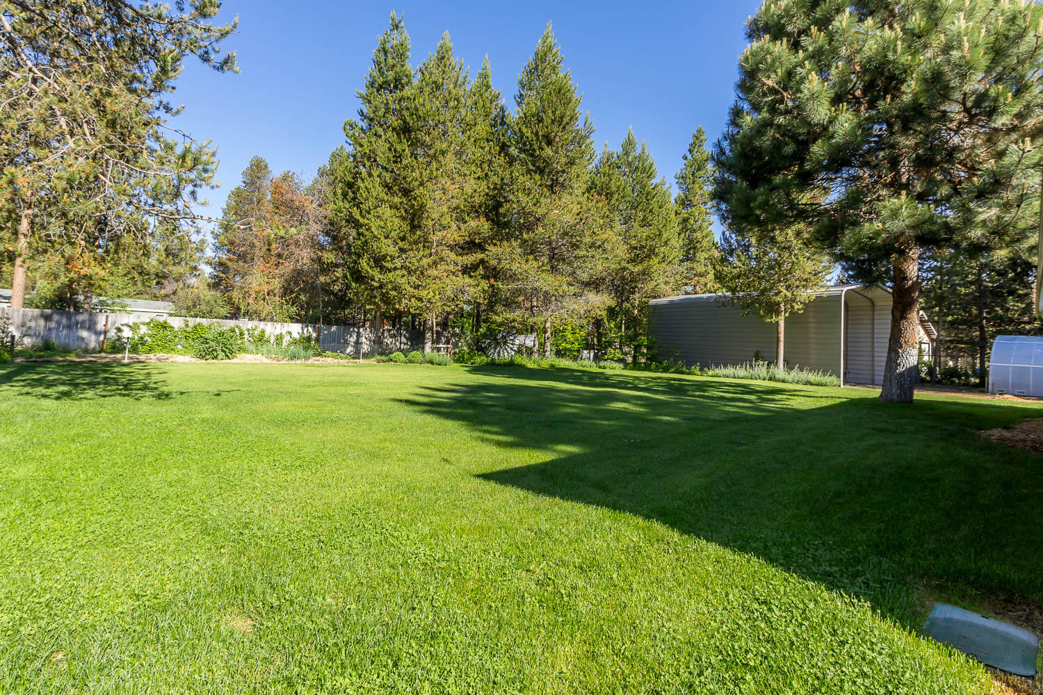 Tall Pines - Residential