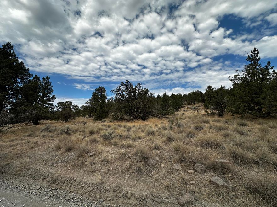 Discover the perfect blend of space, scenery, and convenience with this stunning 4-acre horse property, just minutes from downtown Prineville! Nestled in a peaceful setting, this parcel offers breathtaking panoramic views and plenty of room to create your dream estate. Whether you're looking to build a custom home, establish a small
equestrian setup, or simply enjoy the open space, this property has endless potential. Power is nearby, and a traditional septic system is already approved within the subdivision, making the building process even smoother. Don't miss this rare opportunity to own a piece of Prineville's natural beauty—come see it for yourself and start
planning your future today!