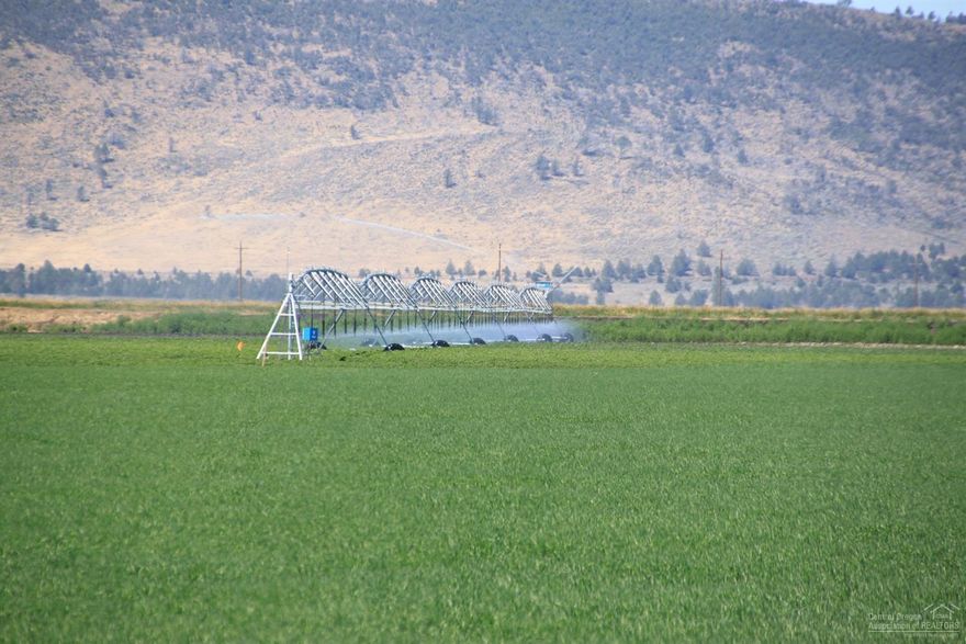 Klamath Straits Ranch. Farm and ranch property located in the southern portion of Klamath County, Oregon and adjoining the California border. The property consists of 7,188 acres of mostly irrigated farmland and grasslands. In addition to crop farming for potato production, hay and grain crops provides suitable grazing lands and is eligible for organic beef production.