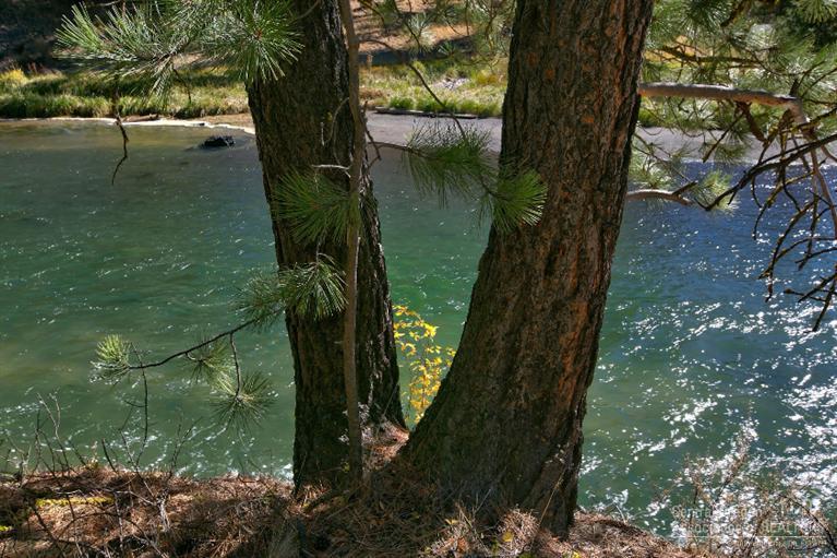 Wild River - Residential