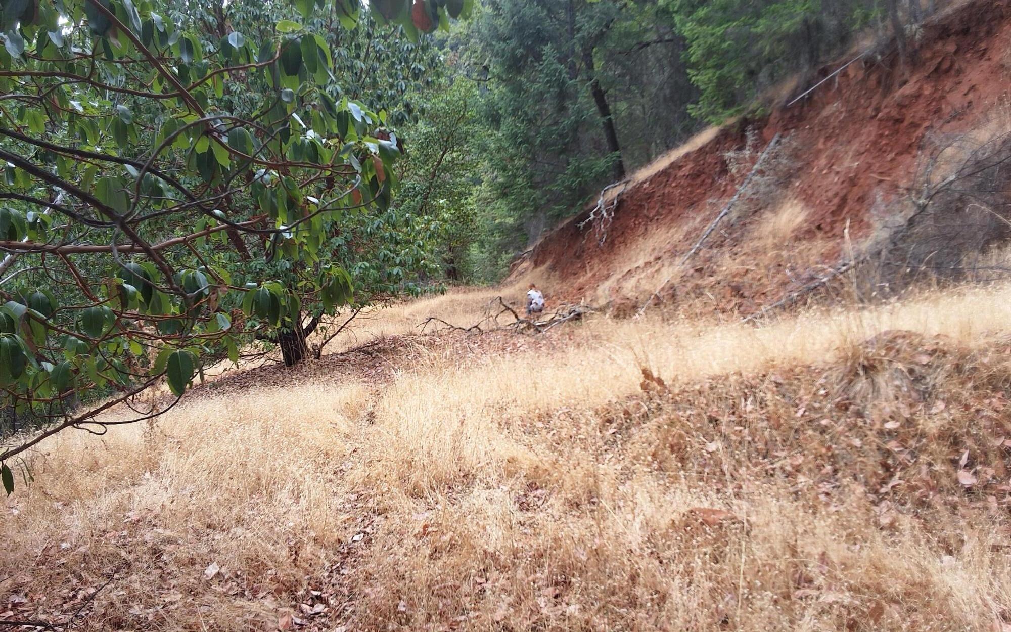 Galls Creek Estates - Land