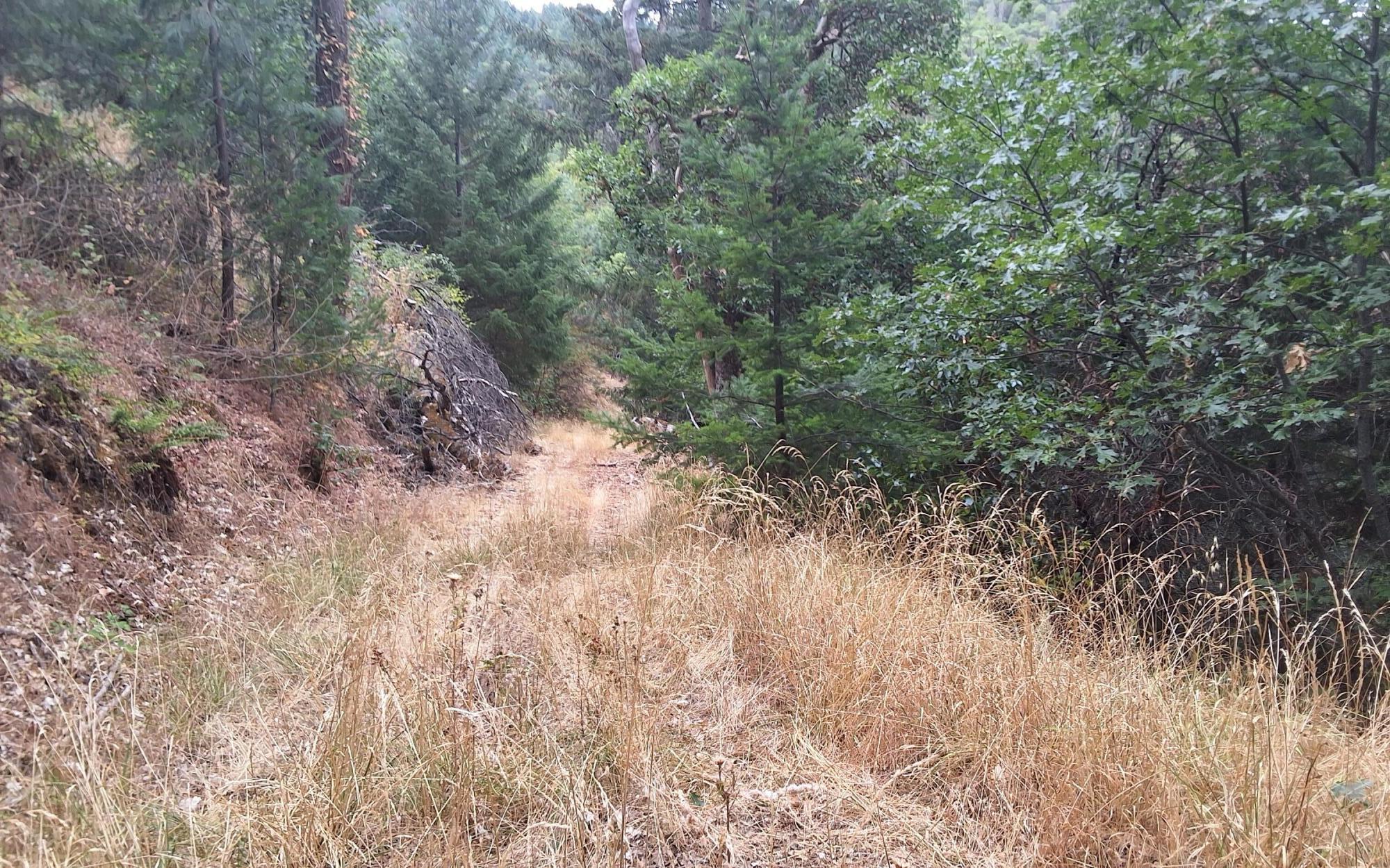 Galls Creek Estates - Land