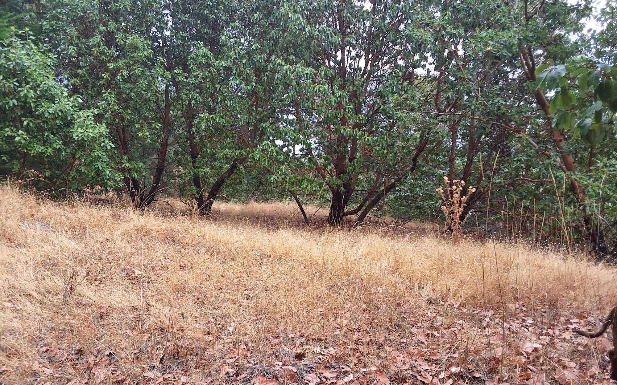 Galls Creek Estates - Land