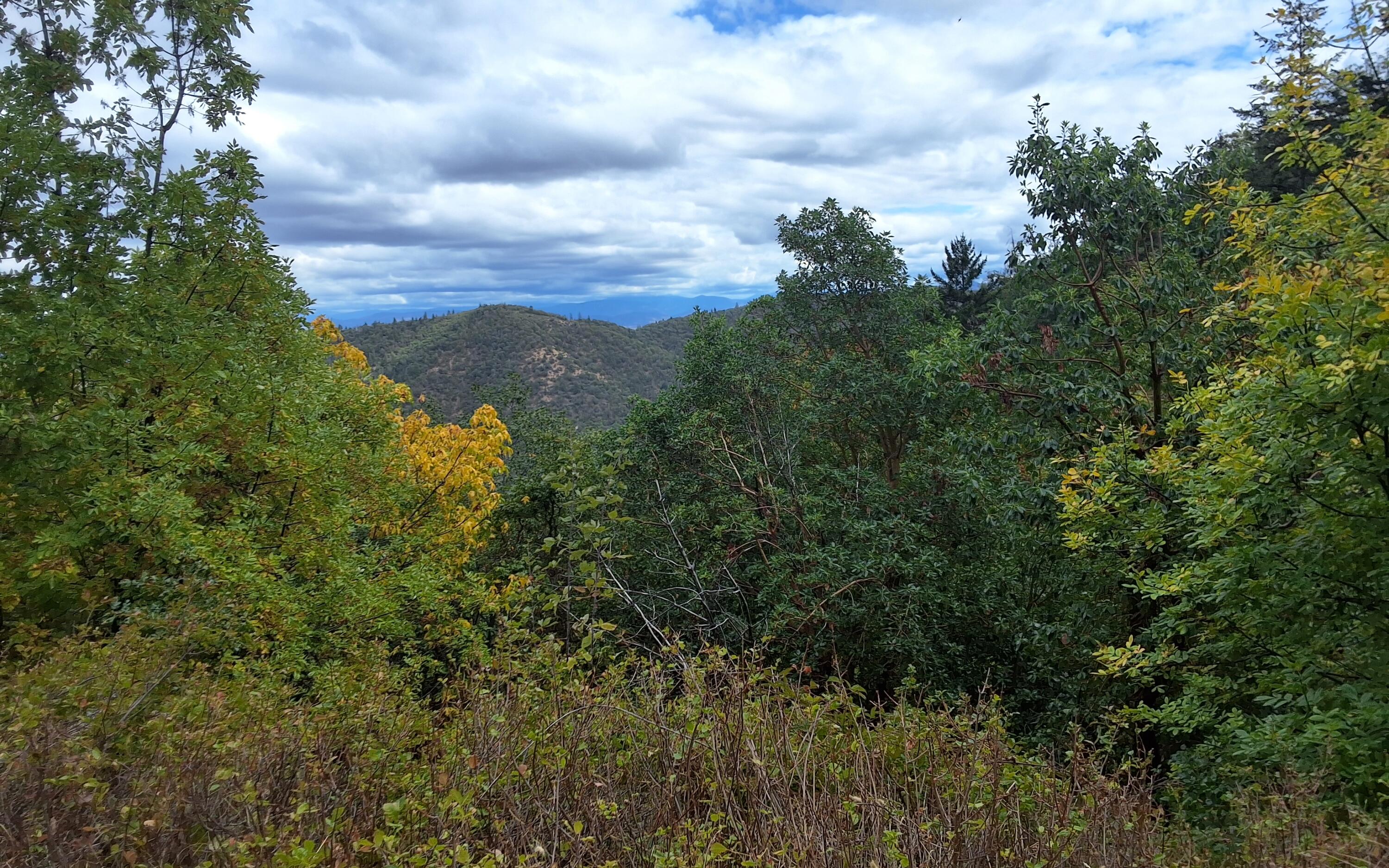 Galls Creek Estates - Land