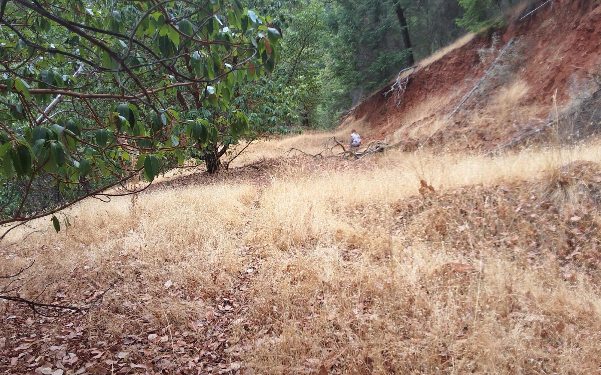 Galls Creek Estates - Land