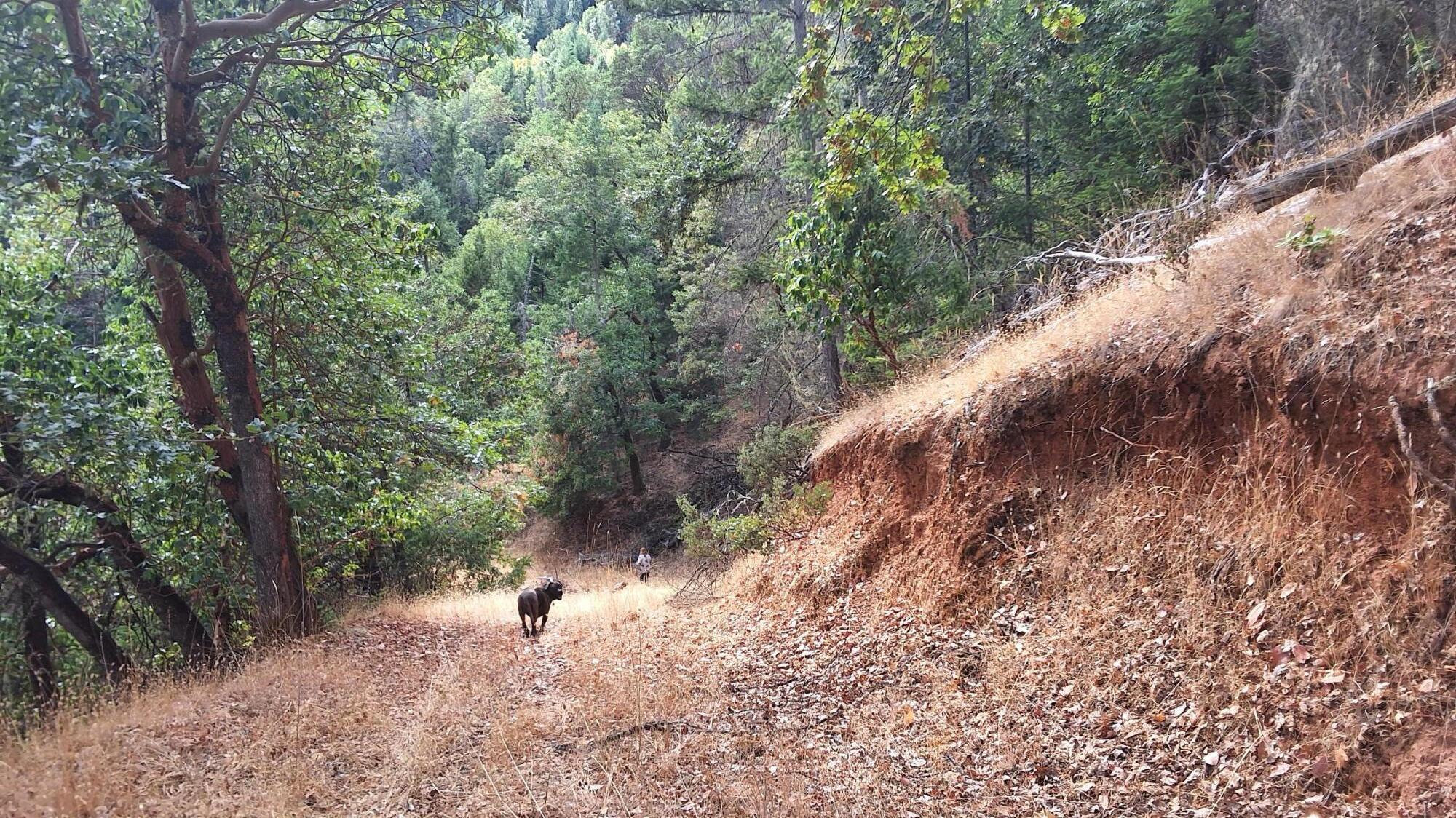 Galls Creek Estates - Land