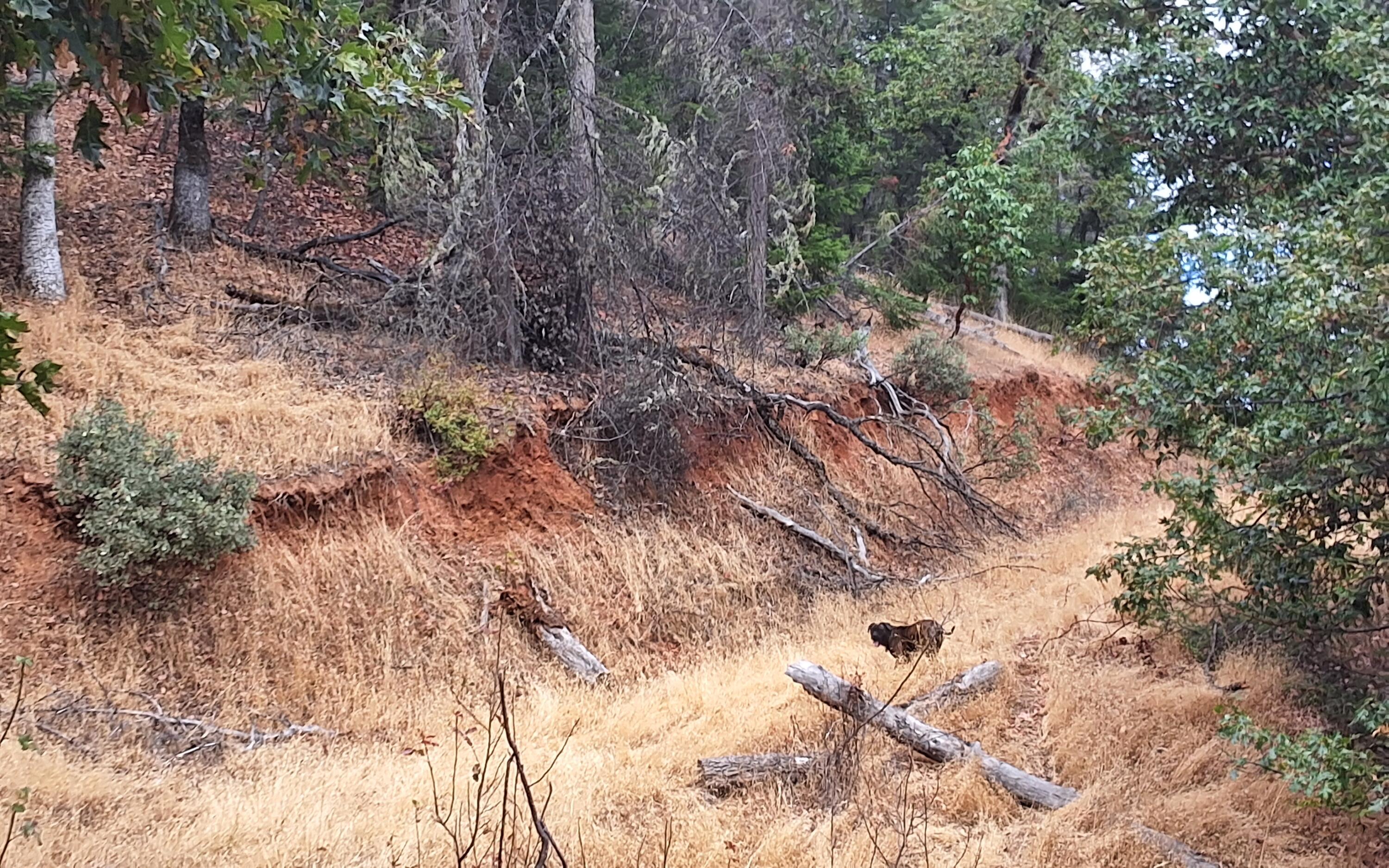 Galls Creek Estates - Land