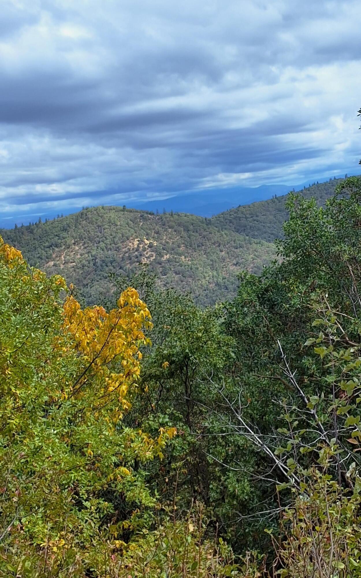 Galls Creek Estates - Land