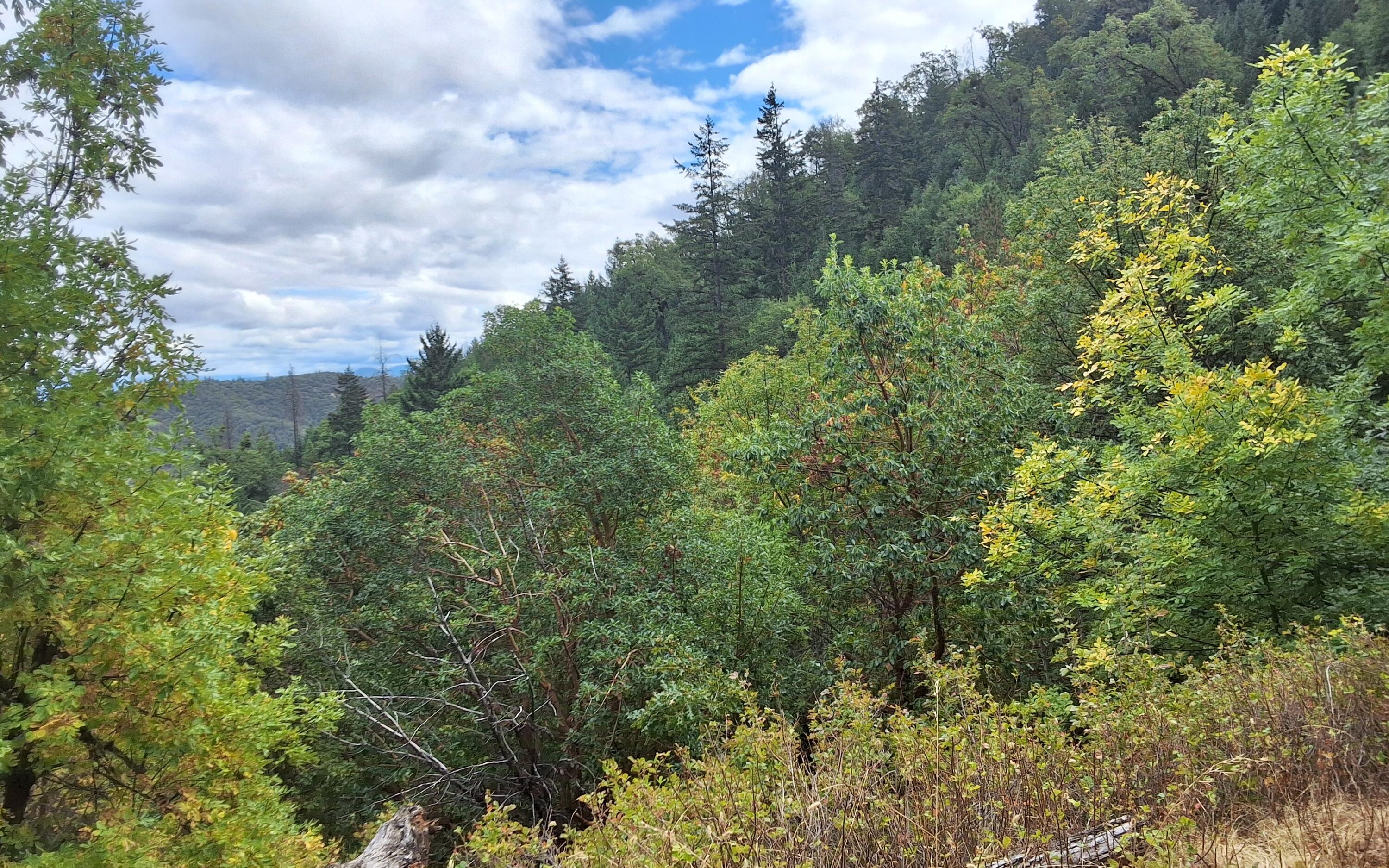 Galls Creek Estates - Land