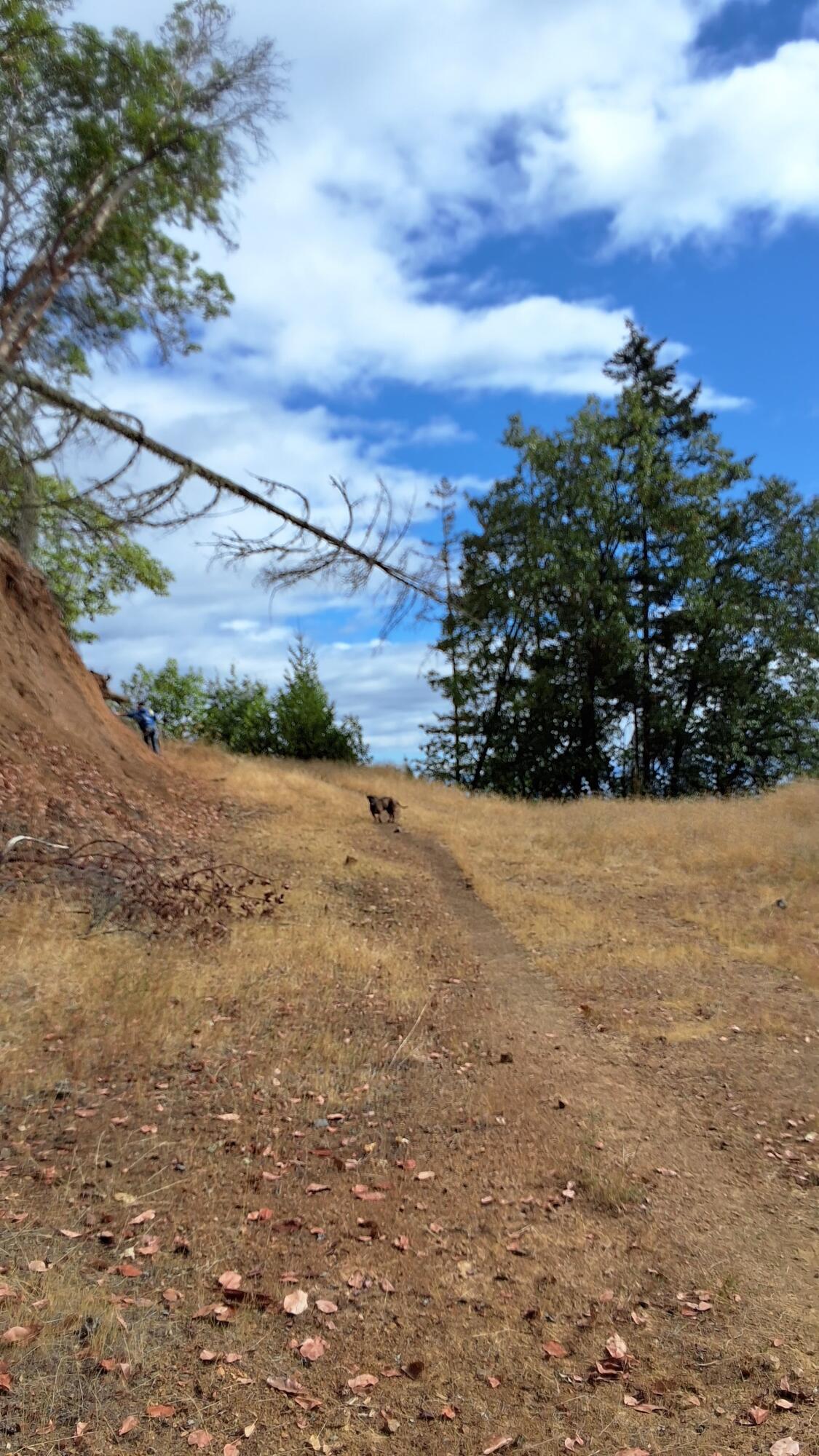 Galls Creek Estates - Land