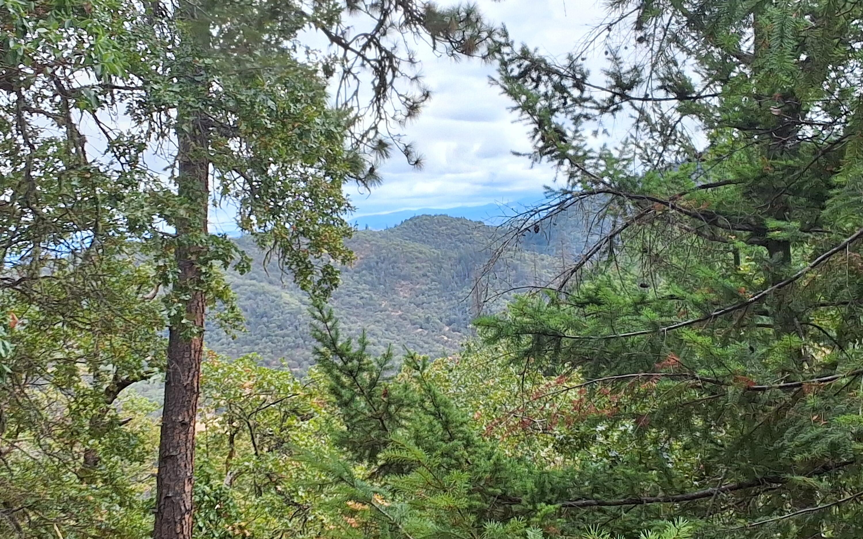 Galls Creek Estates - Land