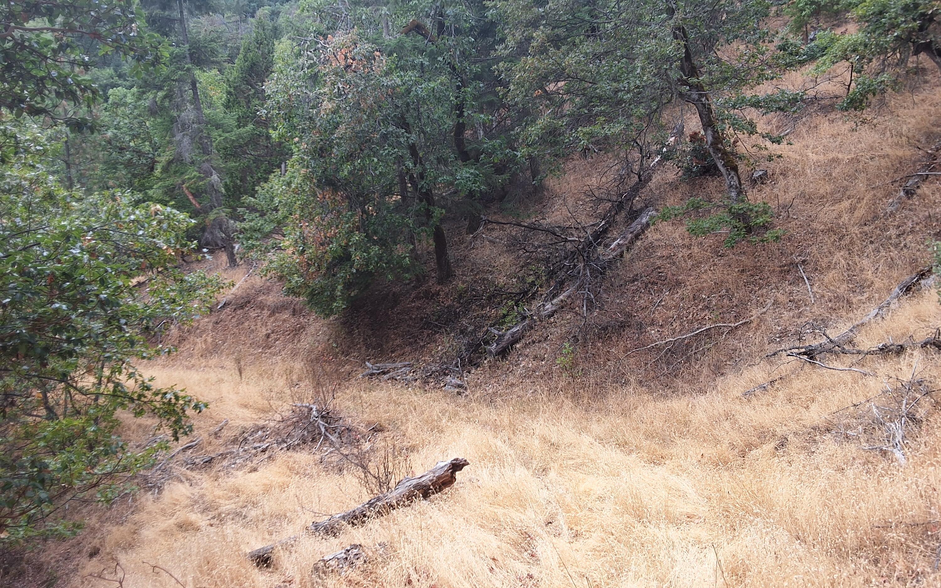 Galls Creek Estates - Land