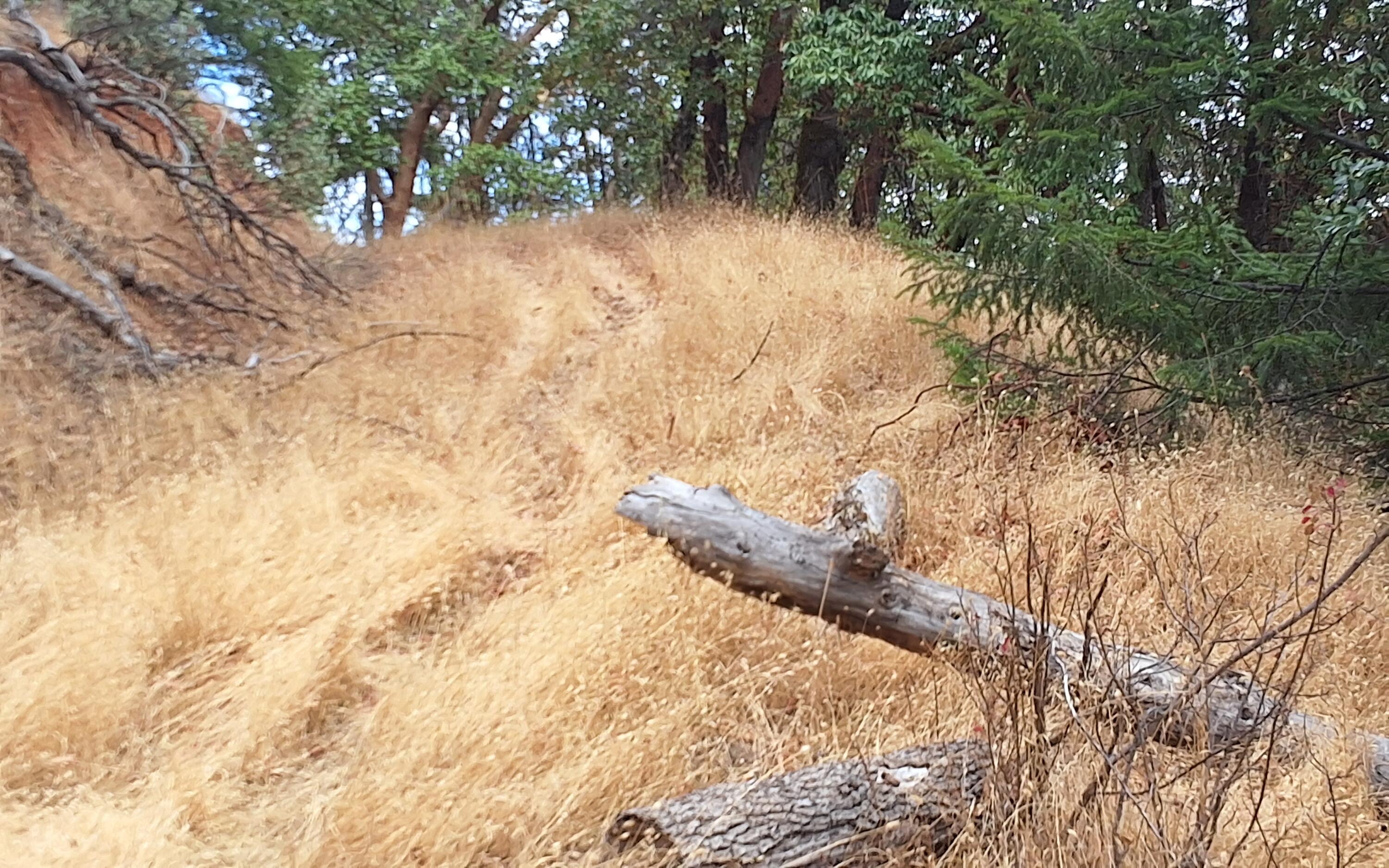 Galls Creek Estates - Land