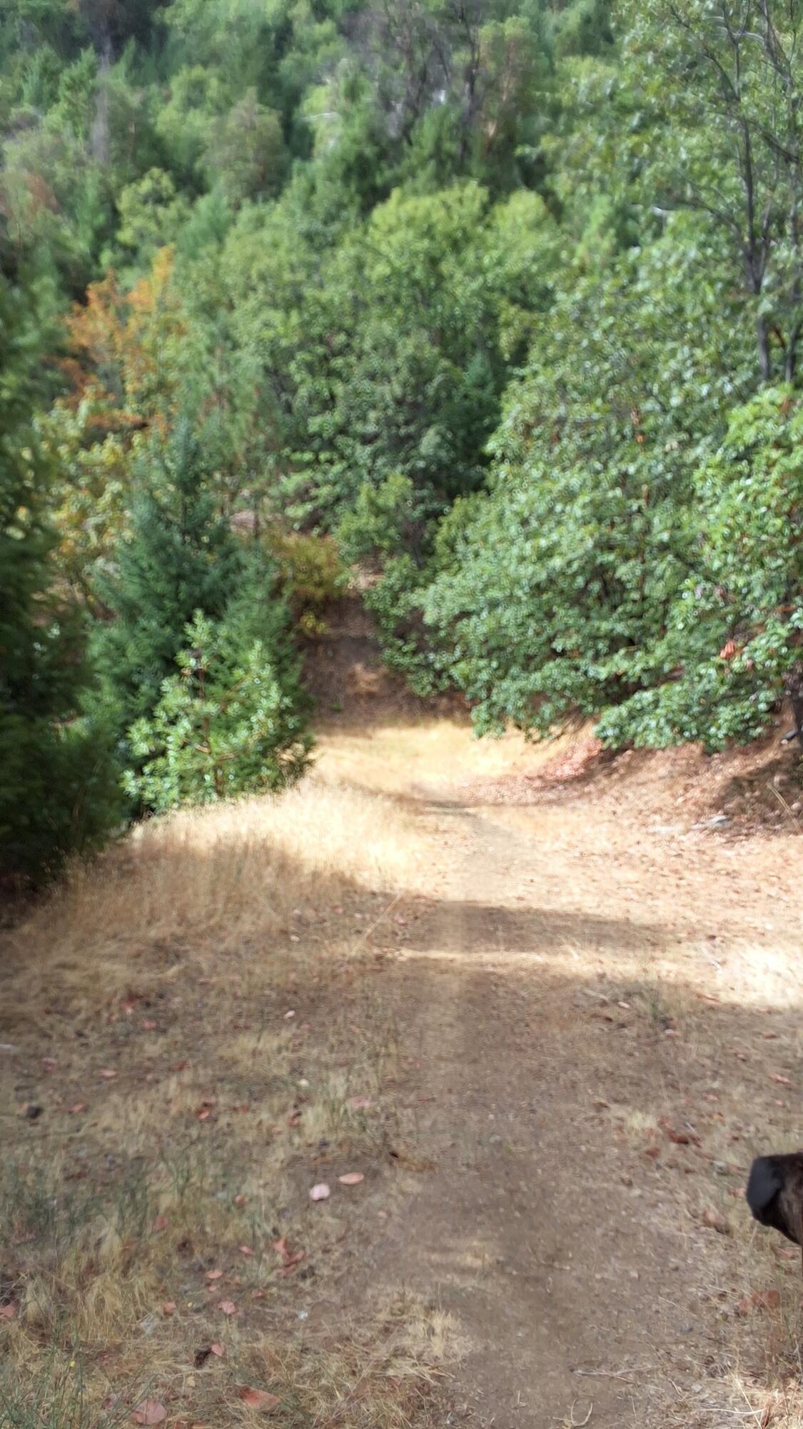 Galls Creek Estates - Land