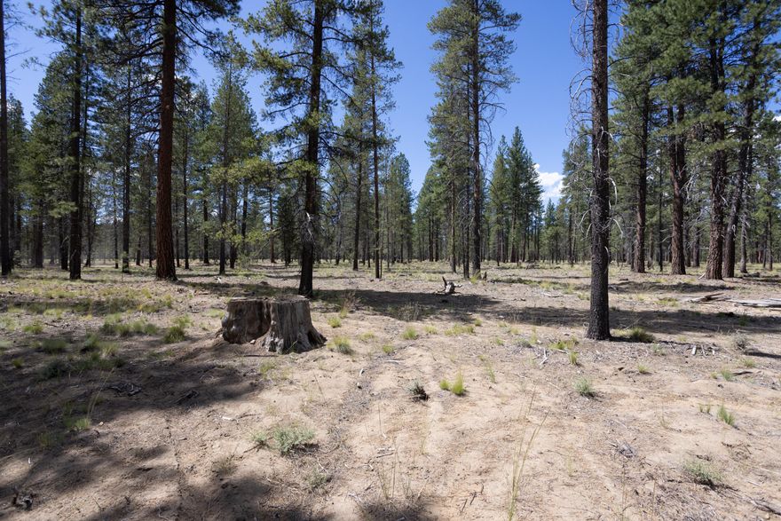 Your opportunity awaits to experience the Caldera Springs lifestyle with limited time special pricing on select homesites along withdeveloper paid HOA dues until 2027. Homesite 485 offers an idyllic blend of natural beauty amidst pine-filled landscapes and sunny skies. This lovely .41 acre lot, ideally located near the newly completed Preservation Park, backs to common area and provides a serene setting for building your custom home. Owners enjoy special access to the Forest House Amenity & Aquatic Center along with golf, fitness, pickle ball, tennis, pools, kayaks & paddle boards. Caldera Springs is located near Sunriver, just 15 minutes to Bend and 30 minutes to world class skiing at Mt. Bachelor. Taxes partially assessed.