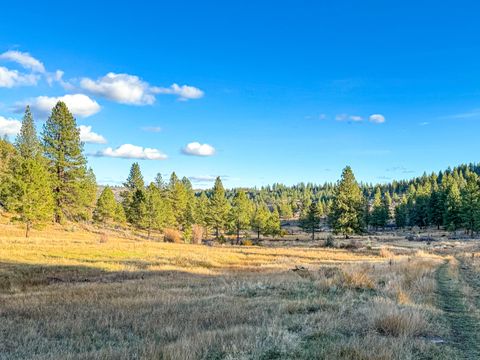 Tiny photo for 28000 SE Paulina Highway, Prineville, OR 97754 (MLS # 220212205)