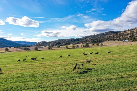 Tiny photo for 28000 SE Paulina Highway, Prineville, OR 97754 (MLS # 220212205)