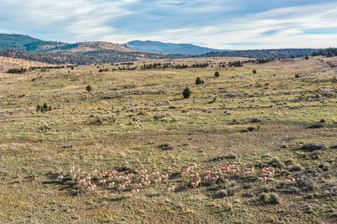 Tiny photo for 28000 SE Paulina Highway, Prineville, OR 97754 (MLS # 220212205)