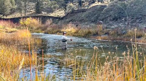 Tiny photo for 28000 SE Paulina Highway, Prineville, OR 97754 (MLS # 220212205)