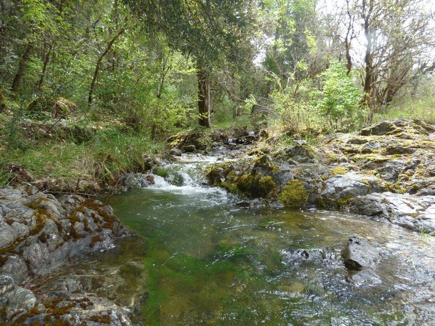 Charming, Private, One-of-a-Kind Cabin in the Woods with everything you need to live a simple & private life without being too remote.  Enjoy 11.26 acres that backs up to 158+ acres of BLM! Seasonal Corn Creek winds beautifully through this property carving additional character to this Storybook Home full of hand-crafted details inside & out including meticulous stone work, natural wood work in home (and furniture that stays), stained glass windows, granite countertops & gas stove. This 2BR (each with their own entrance) & 1BA, modest easy to clean 782 SF home is in excellent condition.  Front is fenced w/two gate entrances. Deer fenced garden is ready for your plants!  Extra outbuilding is insulated, approx 12x20, for laundry, xtra refrig, storage and/or workshop. Appliances included! Add'l 10x15 storage shed & xtra storage under rock deck.  Property has marketable timber & RV Parking.  Great Get-Away Home!