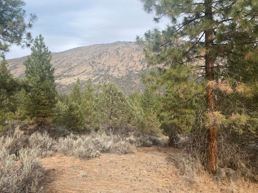 Come look at this great property located in Paradise Hill Subdivision!  it's a great place to raise a family and enjoy the peace and quiet. Plenty of room for all your hobbies and toys!