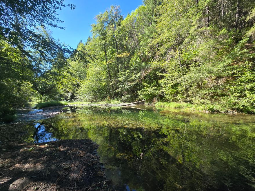 Nestled in the serene mountains of the Applegate Valley, this stunning 5-acre property offers a peaceful retreat surrounded by nature's beauty. A harmonious blend of open pasture and forested charm, the land features direct frontage on the picturesque Carberry Creek.
Enjoy your own private swimming hole—an ideal spot for relaxing, unwinding, or simply soaking in the solitude. With easy creek access and a tranquil setting, the property offers the perfect canvas for a custom homestead or unique campground. Whether you're dreaming of a rustic cabin, glamping retreat, or an off-grid escape, the possibilities for outdoor living are endless.
An adventurer's dream, this location is surrounded by miles of backroads and forestland to explore—perfect for hiking, biking, ATV riding, or just immersing yourself in mountain life. Whether you're seeking a peaceful escape or a launchpad for outdoor recreation, this creekfront gem is ready to become your personal sanctuary.