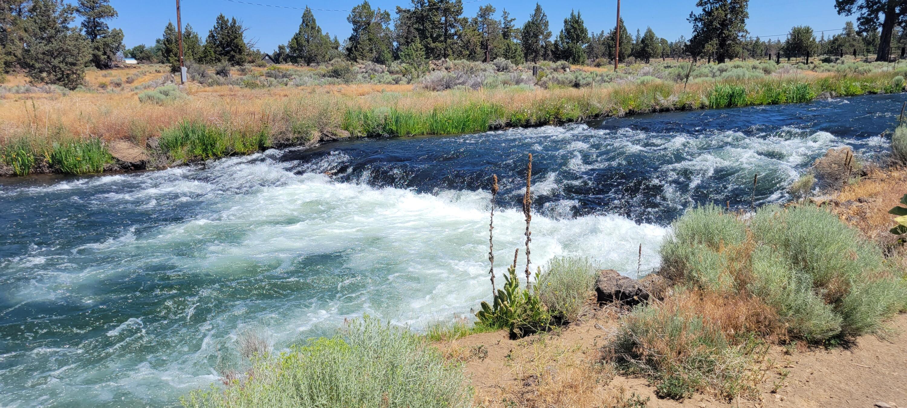 Whispering Pines - Residential