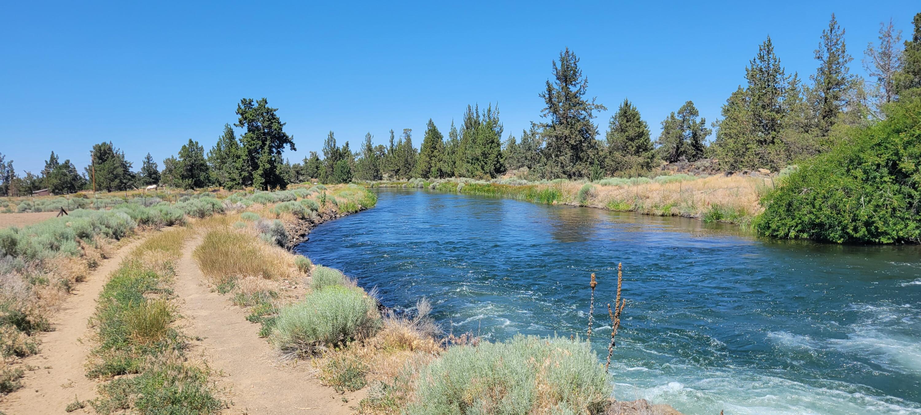 Whispering Pines - Residential