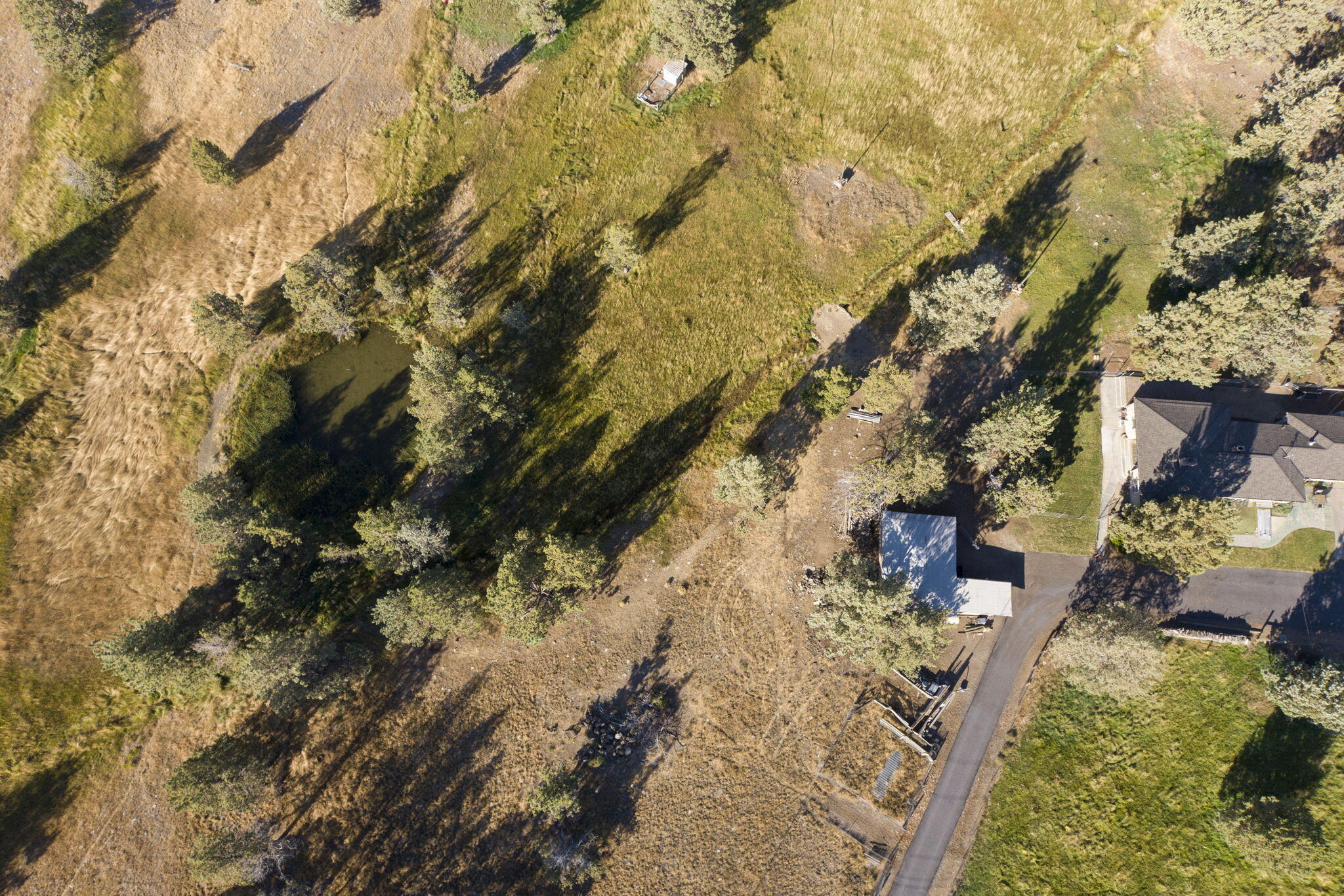 Redmond Townsite - Residential