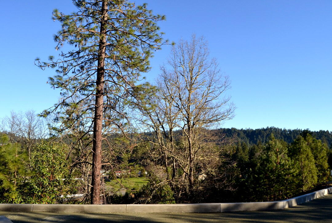 Rocking Horse Estates - Residential