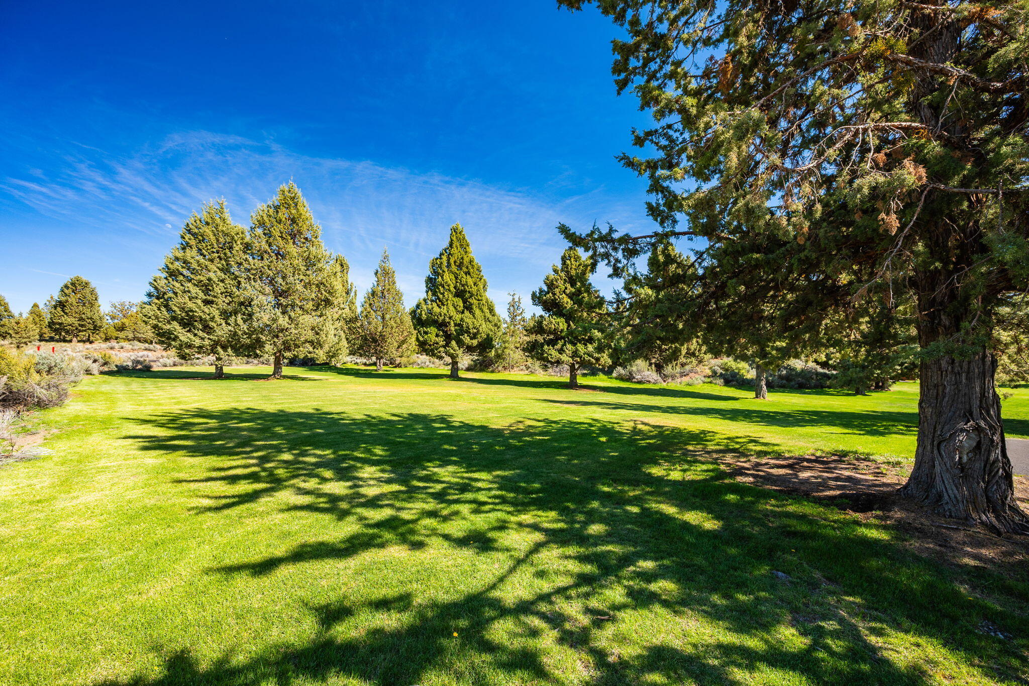 Royal Oak Estates - Residential