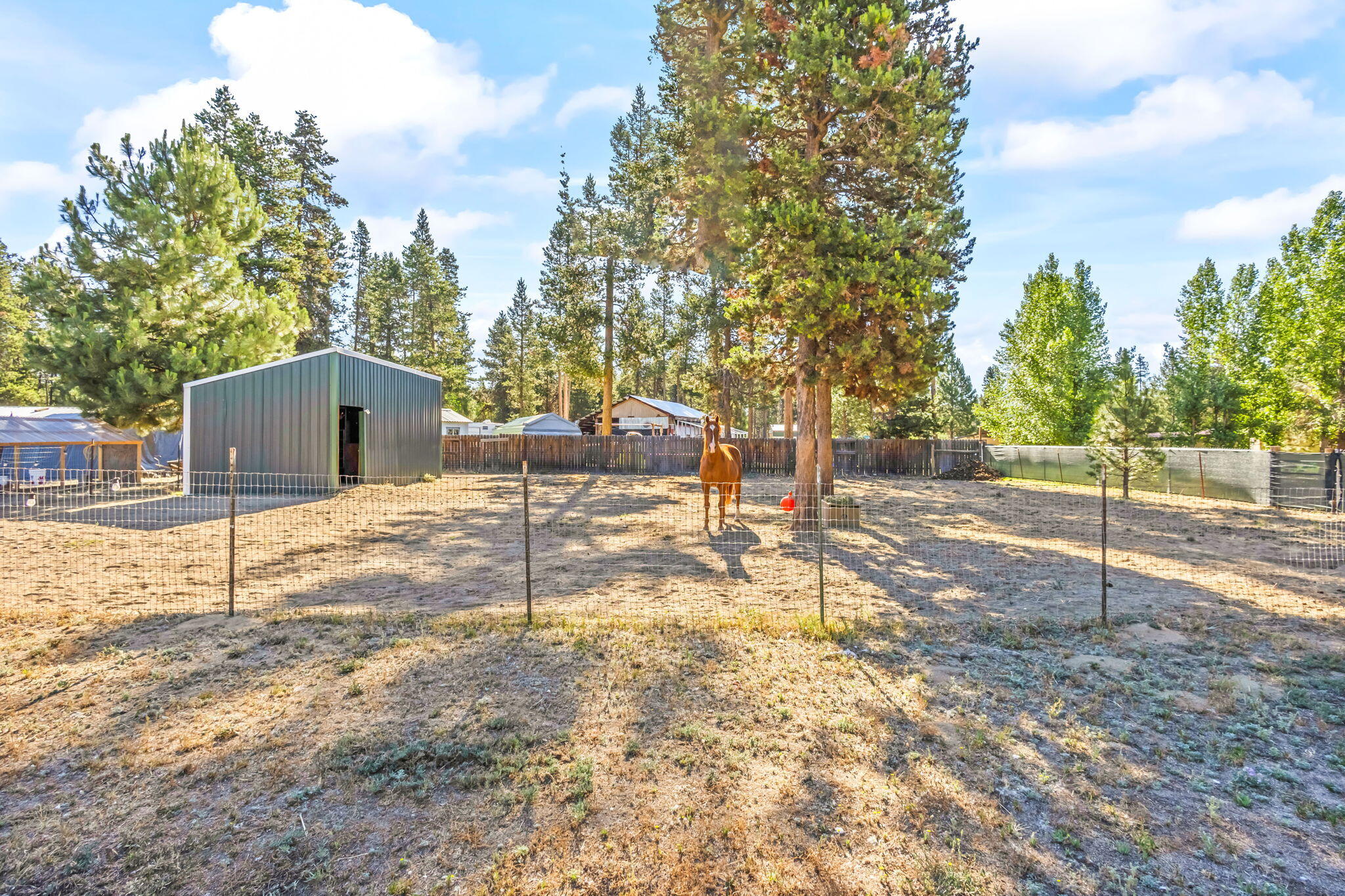 Los Pinos - Residential