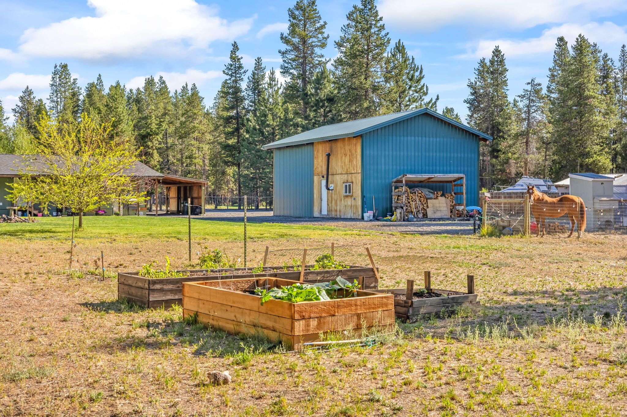 Los Pinos - Residential