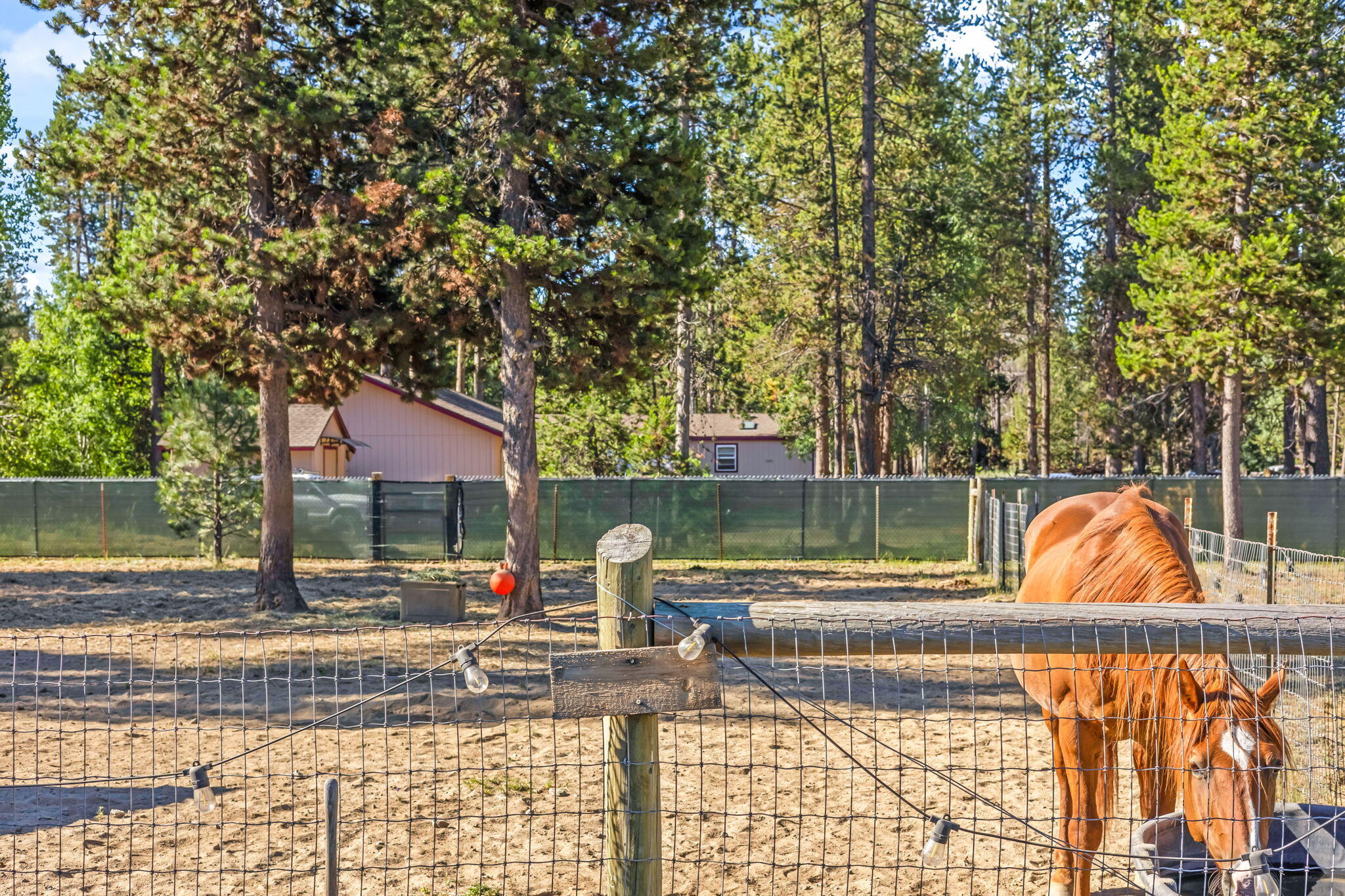 Los Pinos - Residential