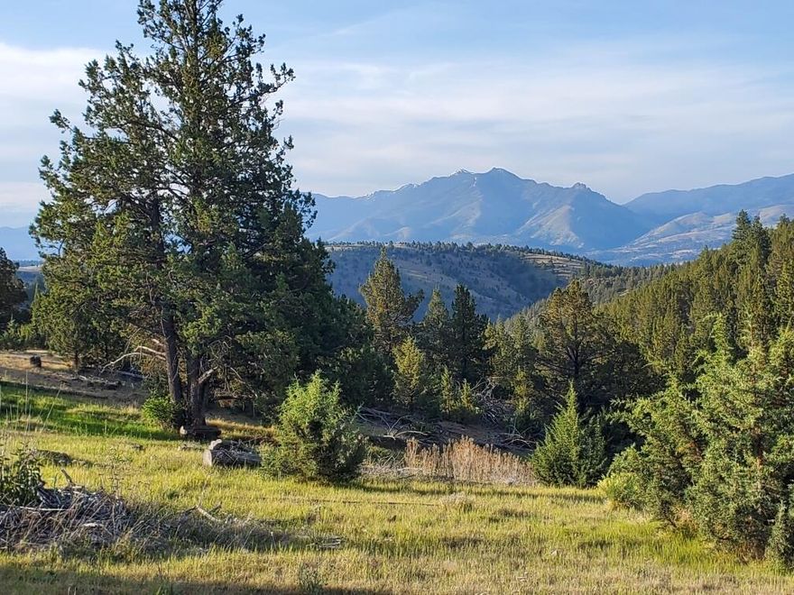 615+ Remote Acres w/Mt & Valley Views!4 Tax lots, LOP tag eligible, fenced & cross fenced, 2 springs, year round creek, rock outcroppings, cabin w/solar lighting & deck, outdoor shower, out house.  $560,000 #1167

If clients view property by following directions they are agreeing to entering at their own risk. No overnight camping, No woodcutting & No fires.