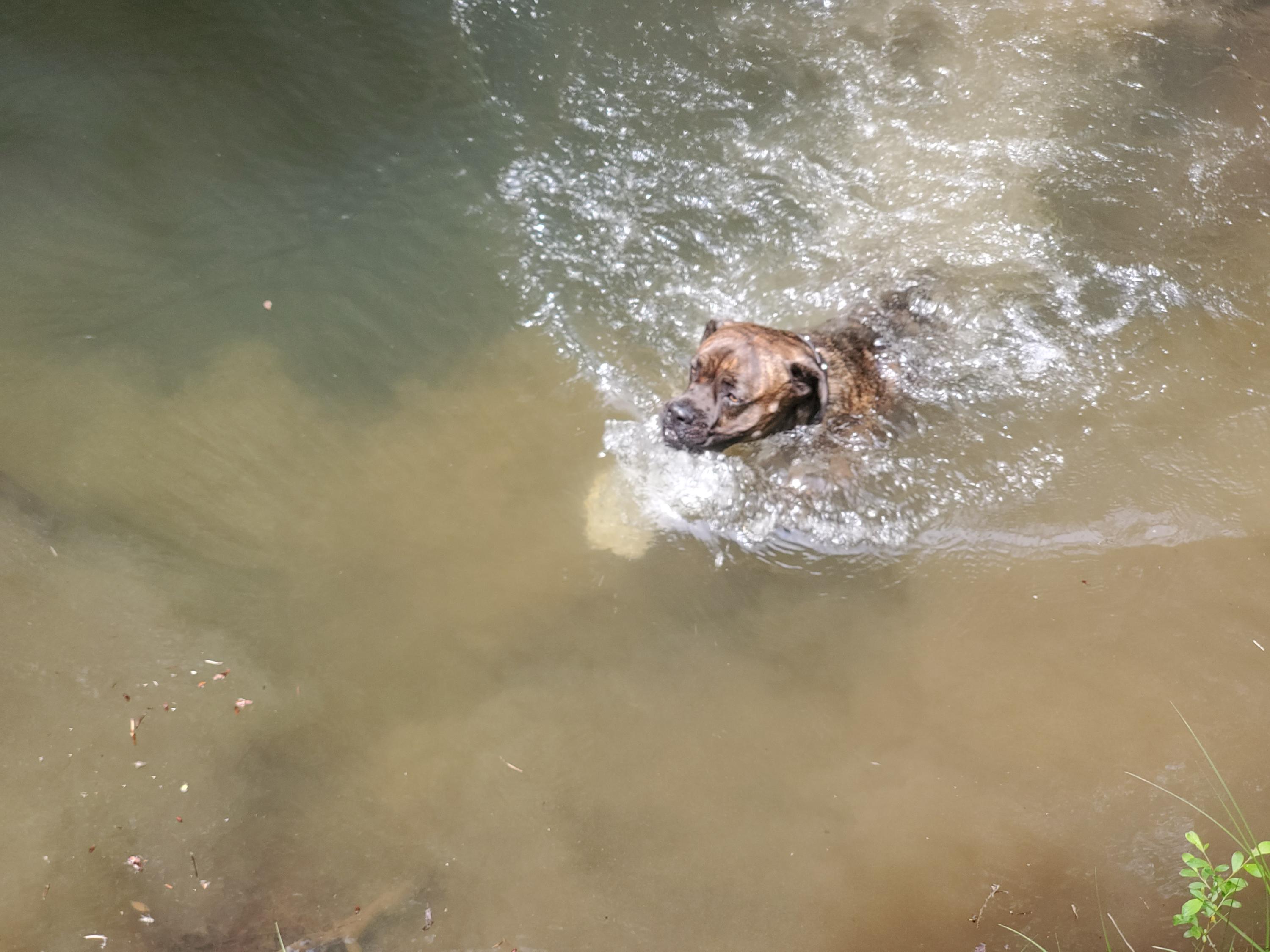 N/A - Commercial Sale