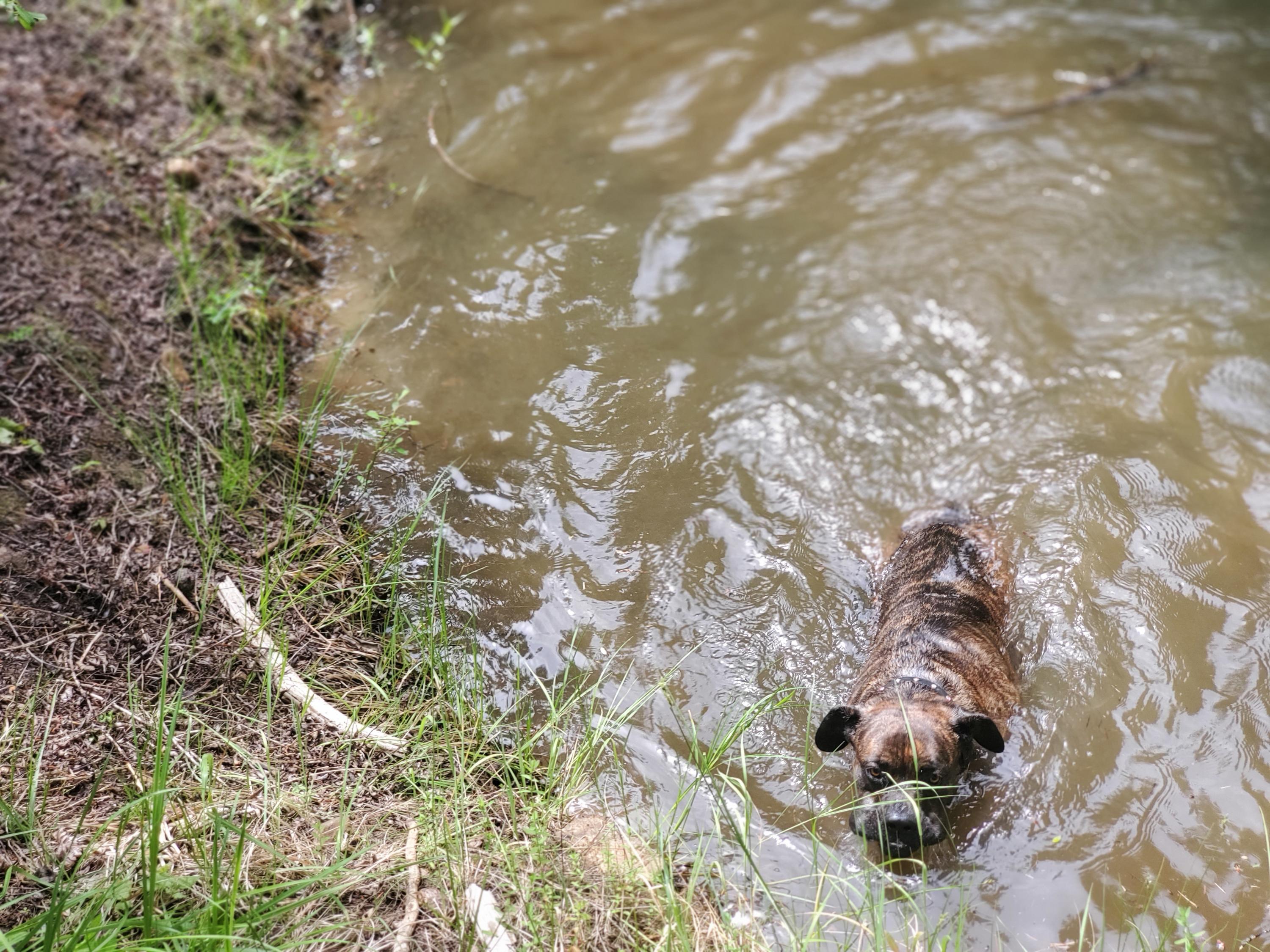 N/A - Commercial Sale