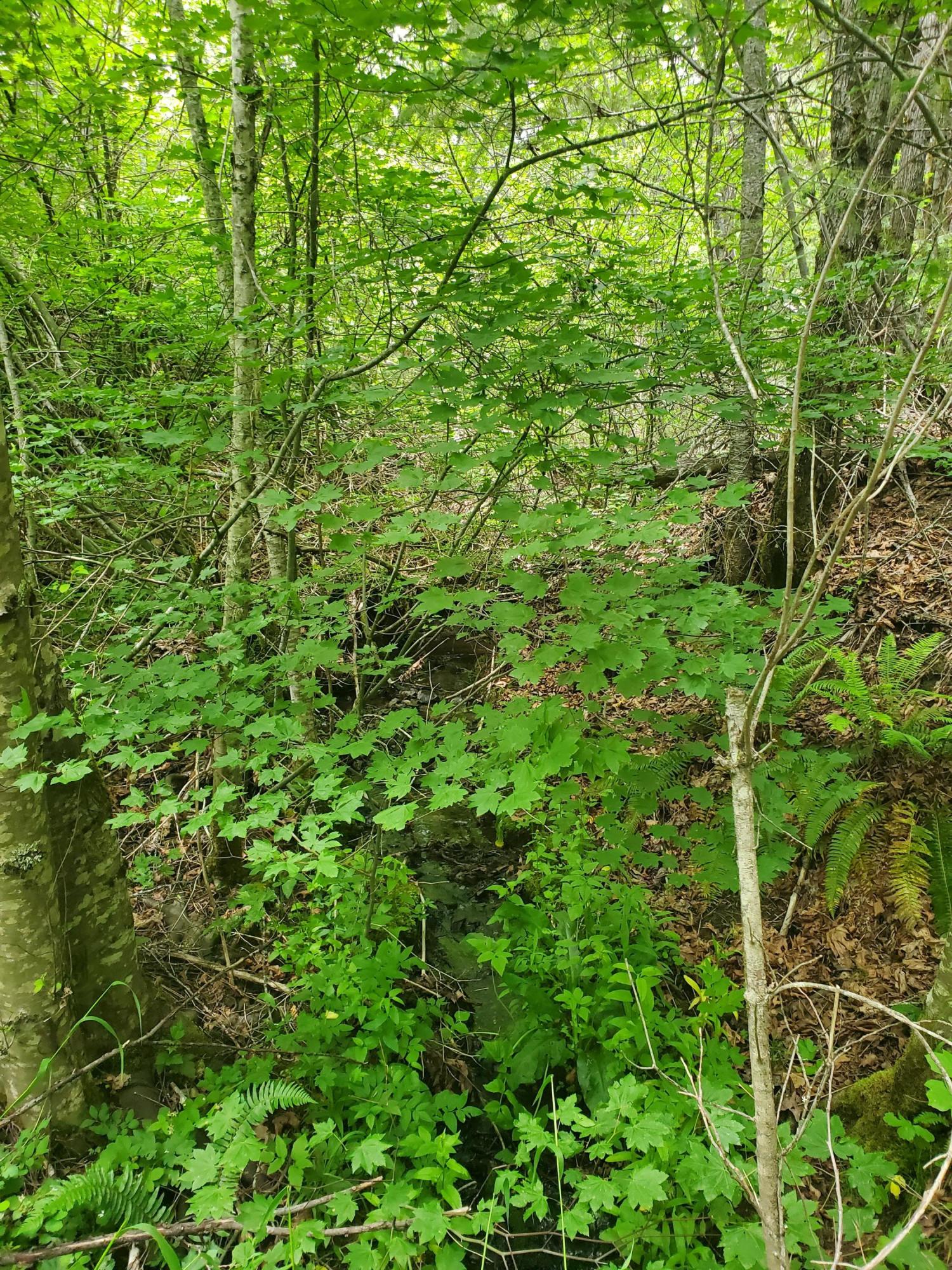 N/A - Commercial Sale